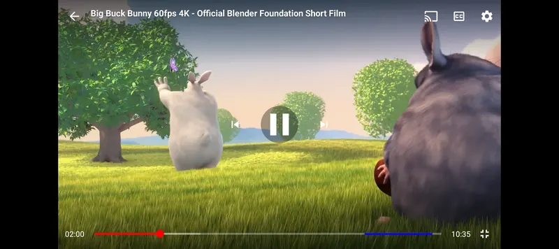 The full-screen player in landscape, playing Big Buck Bunny